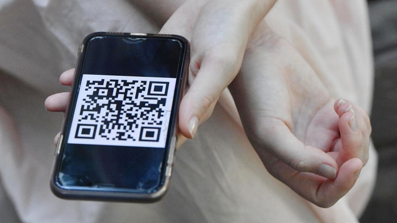 Набиуллина сравнила универсальный QR-код для платежей с розеткой