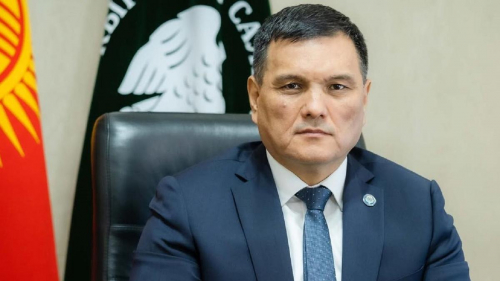 Главного налоговика задержали в Кыргызстане
