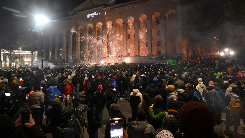 На митингах в Тбилиси задержали 28 человек по уголовным делам